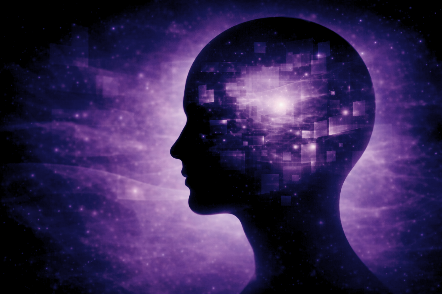 Perception de la réalité et cerveau prédictif — Rayan Gori, Hypno-Alchimiste