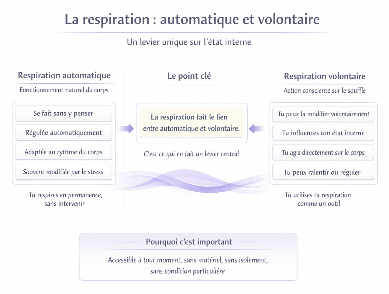 Infographie respiration automatique et volontaire montrant le lien entre respiration naturelle et respiration consciente pour réguler le stress
